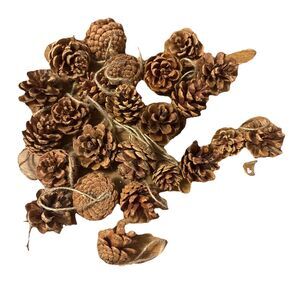 24× Christmas Natural Small Pine Cones Rustic Xmas Ornaments Tree Decor
